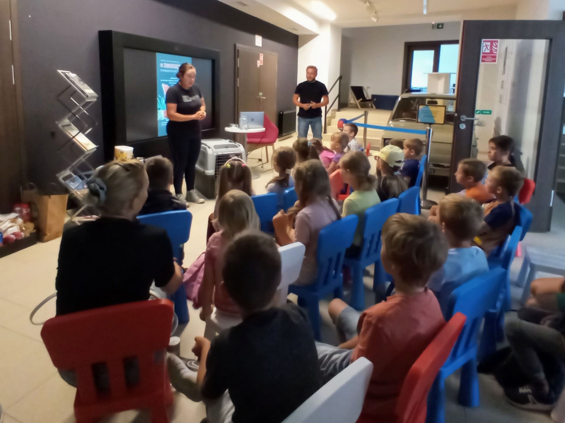 Akcje na wakacje – z Fundacją PATATAJ „Animals Sanctuary” o zwierzętach