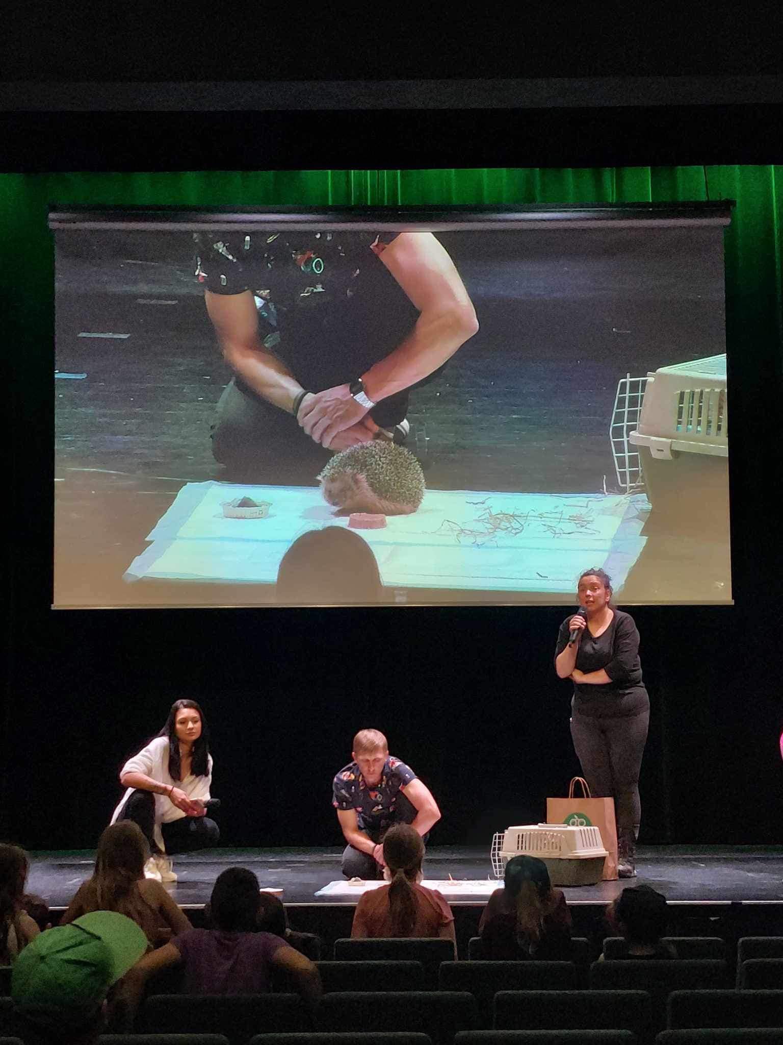 Co czują zwierzęta?&Afryka Kazika – poznawczo dla dzieci w bibliotece – TB’24