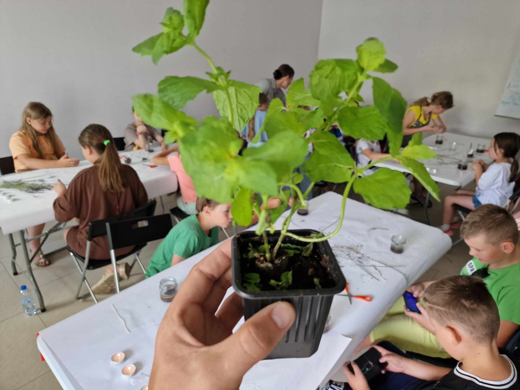 Akcje na wakacje’24/5                                           To i owo repelentowo