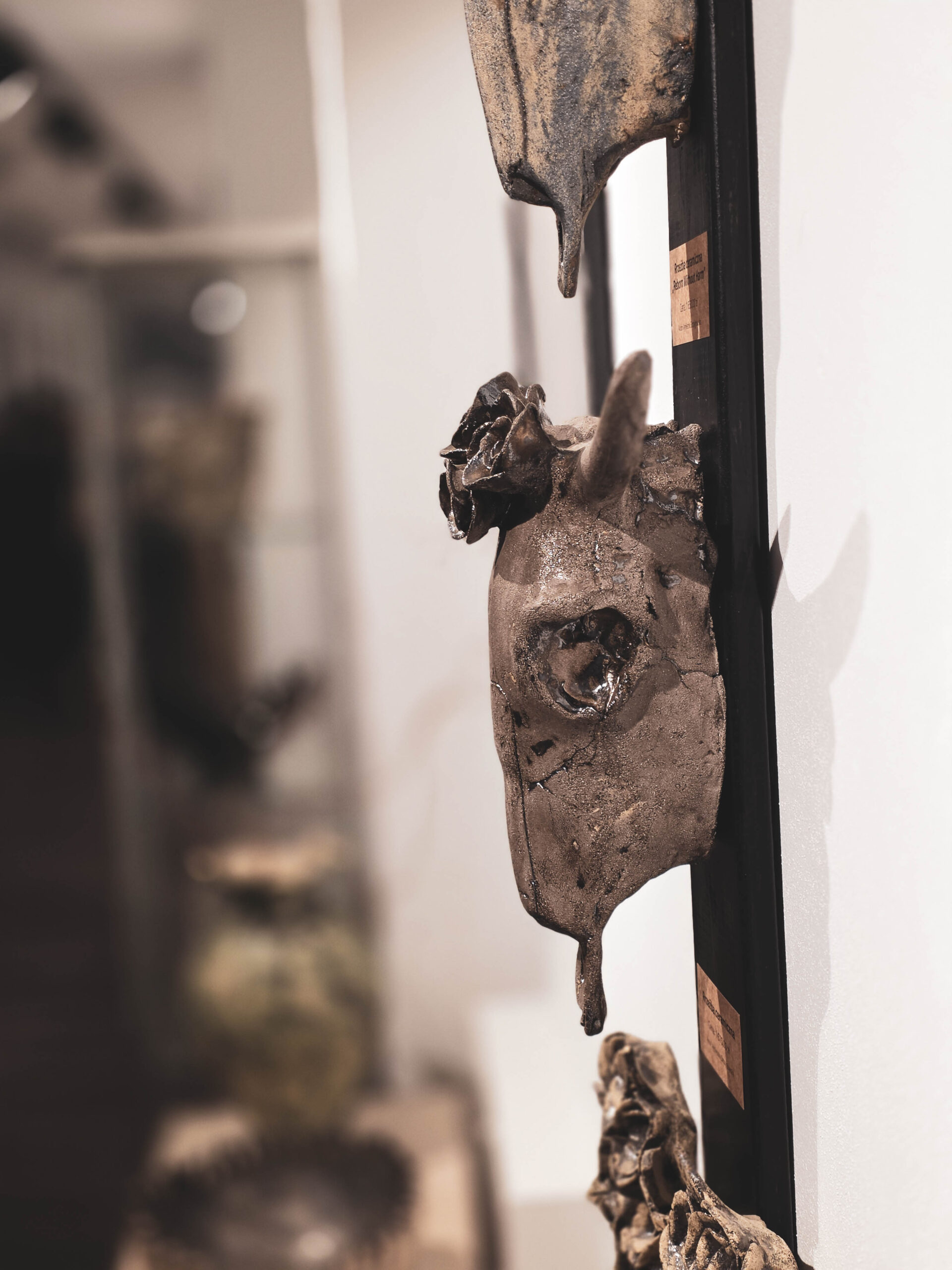 Wernisaż wystawy „Pomiędzy przemijaniem, a odrodzeniem”